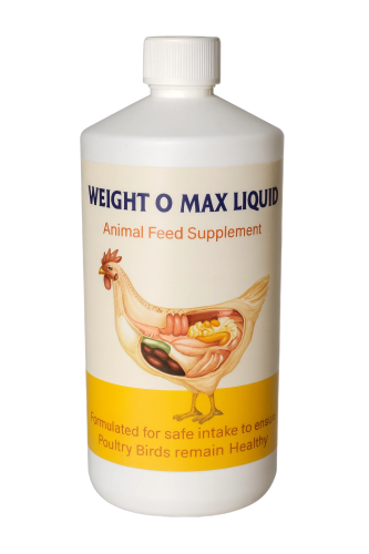 ChatGPT Image Oct 10, 2025, 11_09_07 AM