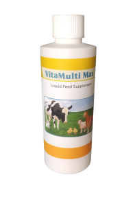 ChatGPT Image Oct 10, 2025, 11_28_40 AM