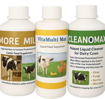 ChatGPT Image Oct 13, 2025, 07_43_17 AM