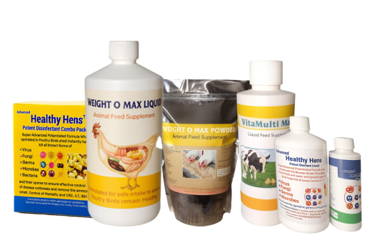 WhatsApp Image 2025-10-15 at 11.32.39 1